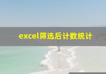 excel筛选后计数统计