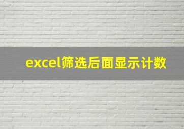 excel筛选后面显示计数