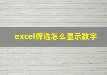 excel筛选怎么显示数字