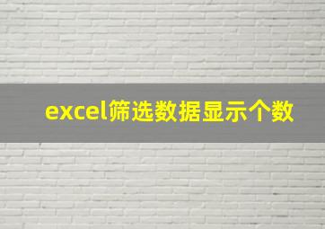 excel筛选数据显示个数