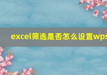 excel筛选是否怎么设置wps