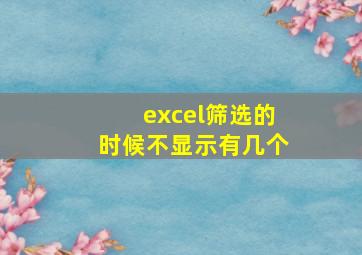 excel筛选的时候不显示有几个