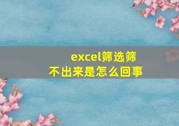 excel筛选筛不出来是怎么回事