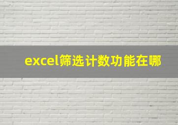 excel筛选计数功能在哪