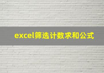 excel筛选计数求和公式