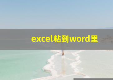 excel粘到word里