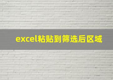 excel粘贴到筛选后区域