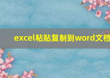 excel粘贴复制到word文档