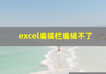 excel编辑栏编辑不了