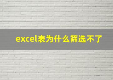 excel表为什么筛选不了