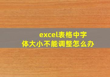 excel表格中字体大小不能调整怎么办