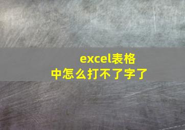 excel表格中怎么打不了字了