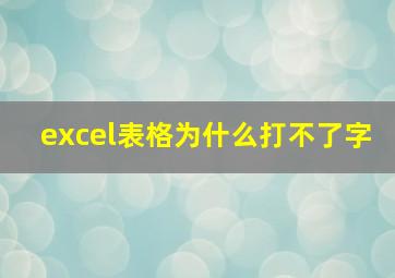 excel表格为什么打不了字