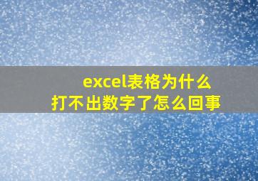 excel表格为什么打不出数字了怎么回事