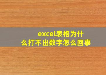 excel表格为什么打不出数字怎么回事