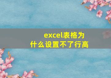 excel表格为什么设置不了行高