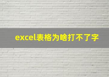 excel表格为啥打不了字