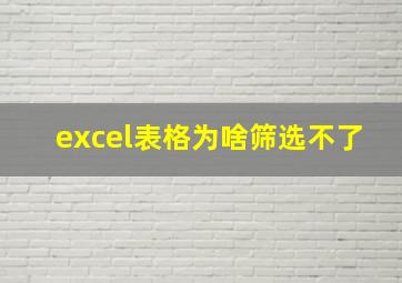 excel表格为啥筛选不了