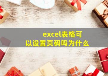 excel表格可以设置页码吗为什么