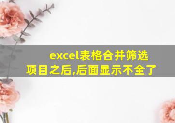 excel表格合并筛选项目之后,后面显示不全了