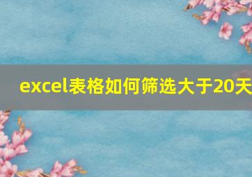 excel表格如何筛选大于20天