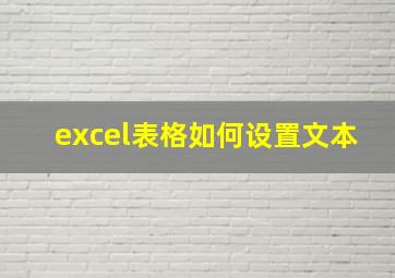 excel表格如何设置文本