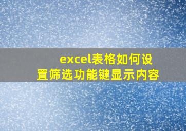 excel表格如何设置筛选功能键显示内容