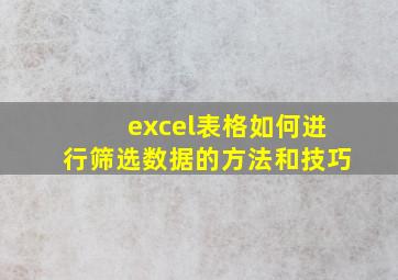 excel表格如何进行筛选数据的方法和技巧