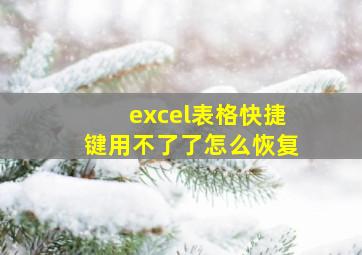 excel表格快捷键用不了了怎么恢复