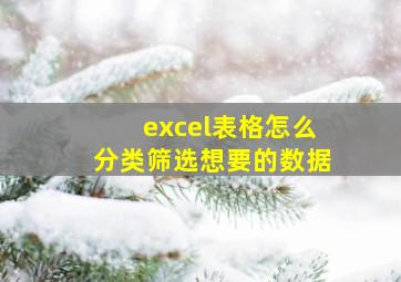 excel表格怎么分类筛选想要的数据