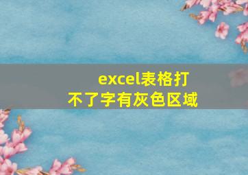 excel表格打不了字有灰色区域