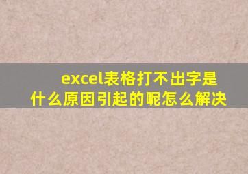 excel表格打不出字是什么原因引起的呢怎么解决