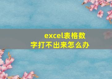 excel表格数字打不出来怎么办