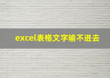 excel表格文字输不进去