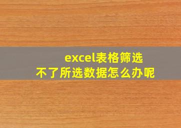 excel表格筛选不了所选数据怎么办呢