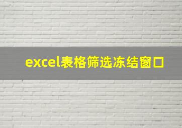 excel表格筛选冻结窗口