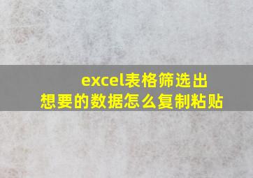 excel表格筛选出想要的数据怎么复制粘贴