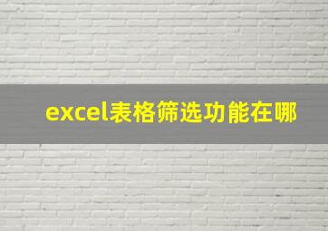 excel表格筛选功能在哪