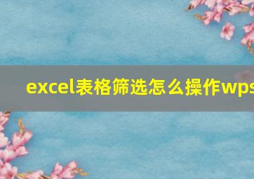 excel表格筛选怎么操作wps