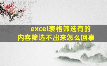 excel表格筛选有的内容筛选不出来怎么回事