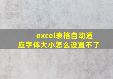 excel表格自动适应字体大小怎么设置不了