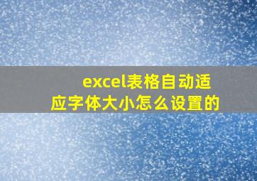 excel表格自动适应字体大小怎么设置的