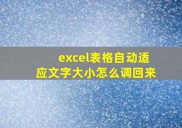 excel表格自动适应文字大小怎么调回来