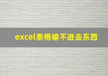 excel表格输不进去东西