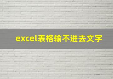 excel表格输不进去文字