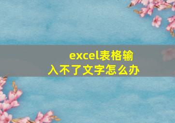 excel表格输入不了文字怎么办