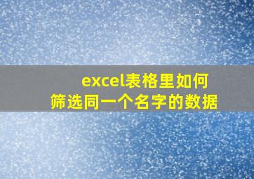 excel表格里如何筛选同一个名字的数据