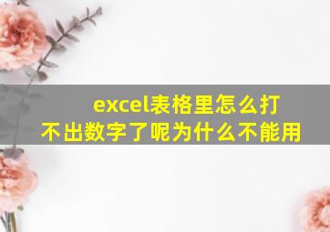 excel表格里怎么打不出数字了呢为什么不能用