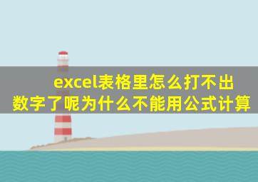 excel表格里怎么打不出数字了呢为什么不能用公式计算