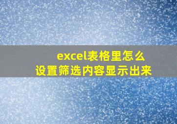 excel表格里怎么设置筛选内容显示出来